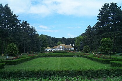 Băneasa Forest