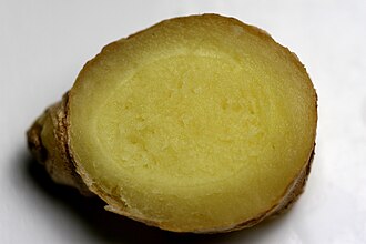 330px-Ginger_cross_section.jpg
