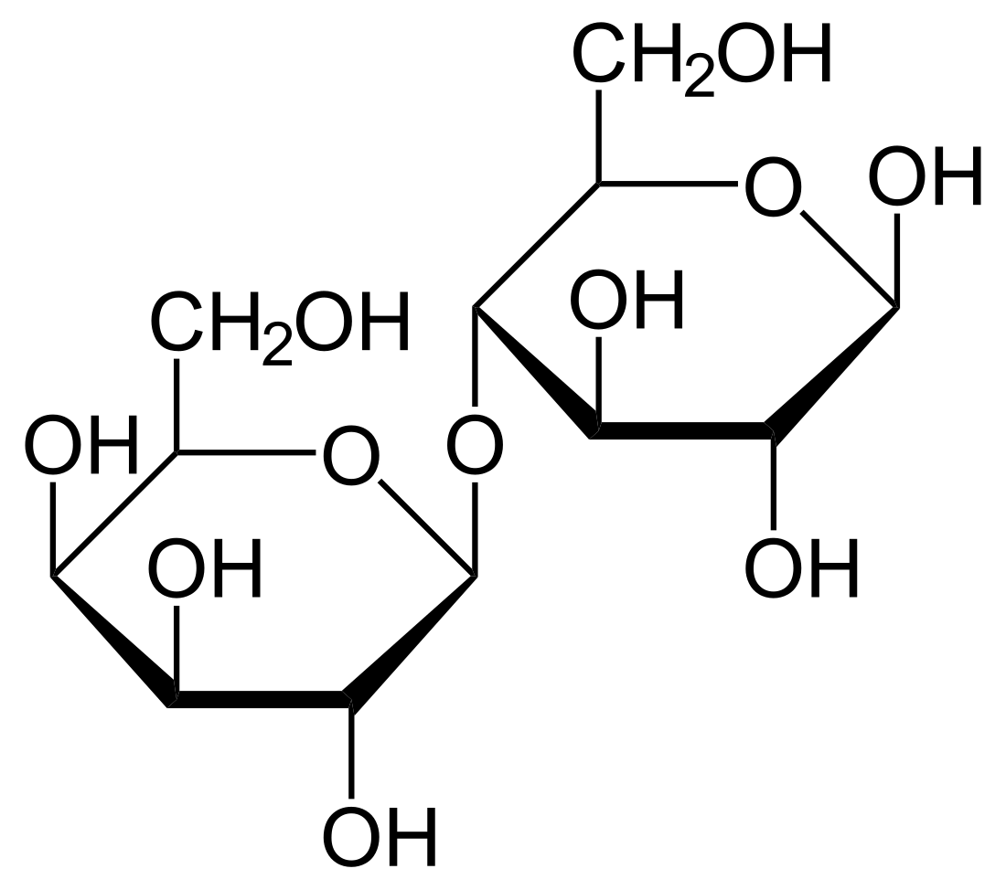 Lactose intolerance
