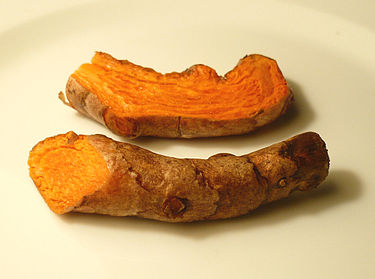 375px-Turmericroot.jpg